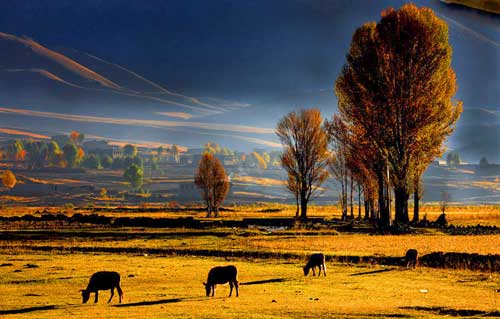 成都租車去最美稻城6日自駕游