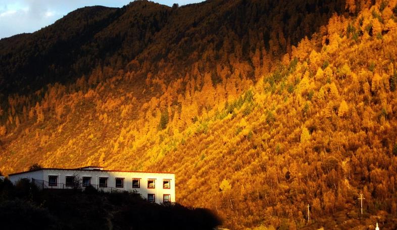 成都、四姑娘山、長(zhǎng)坪溝3日自駕游