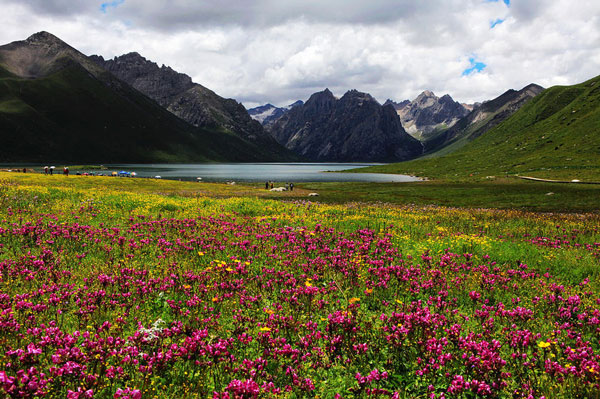 <strong>成都租車(chē)川西北環(huán)線(xiàn)7日游+-年保玉則+草原花海+九寨溝</strong>